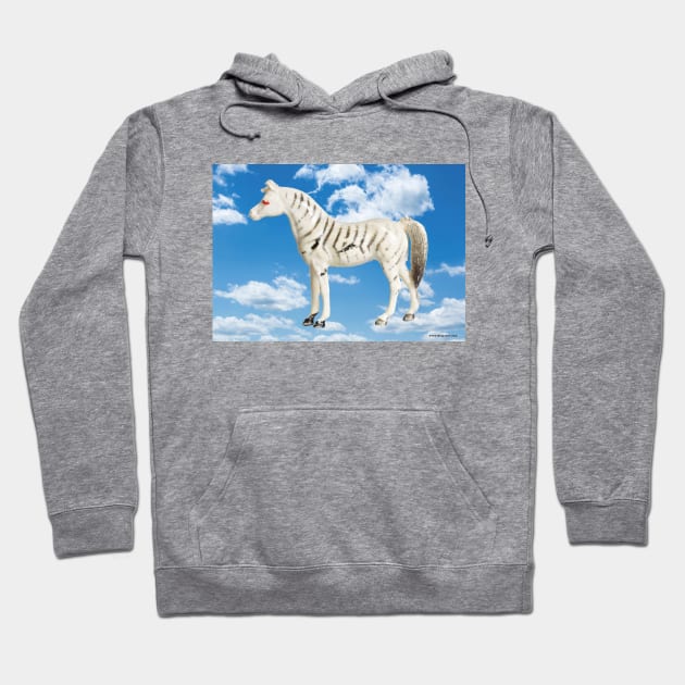 ANIMAL HEAVEN Zebra Hoodie by Danny Germansen